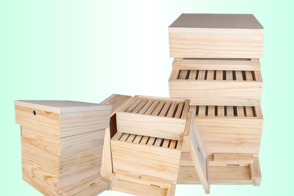 Apis cerana Indica Beehive Box 