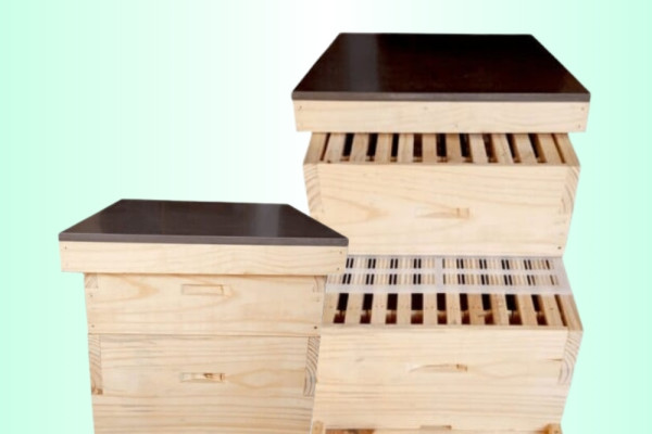 Apis Mellifera Beehive Box