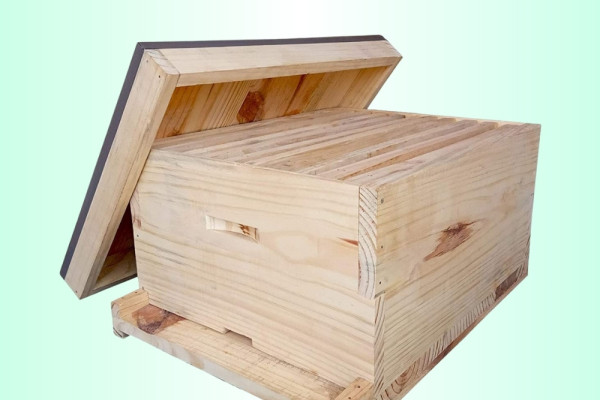 Apis Mellifera Longstroth Beehive